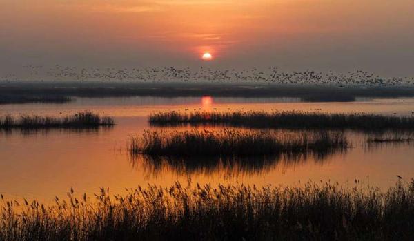 三角洲行动辅助科技下载(提供三角洲行动辅助科技下载链接) 三角洲行动辅助科技下载(提供三角洲行动辅助科技下载链接)